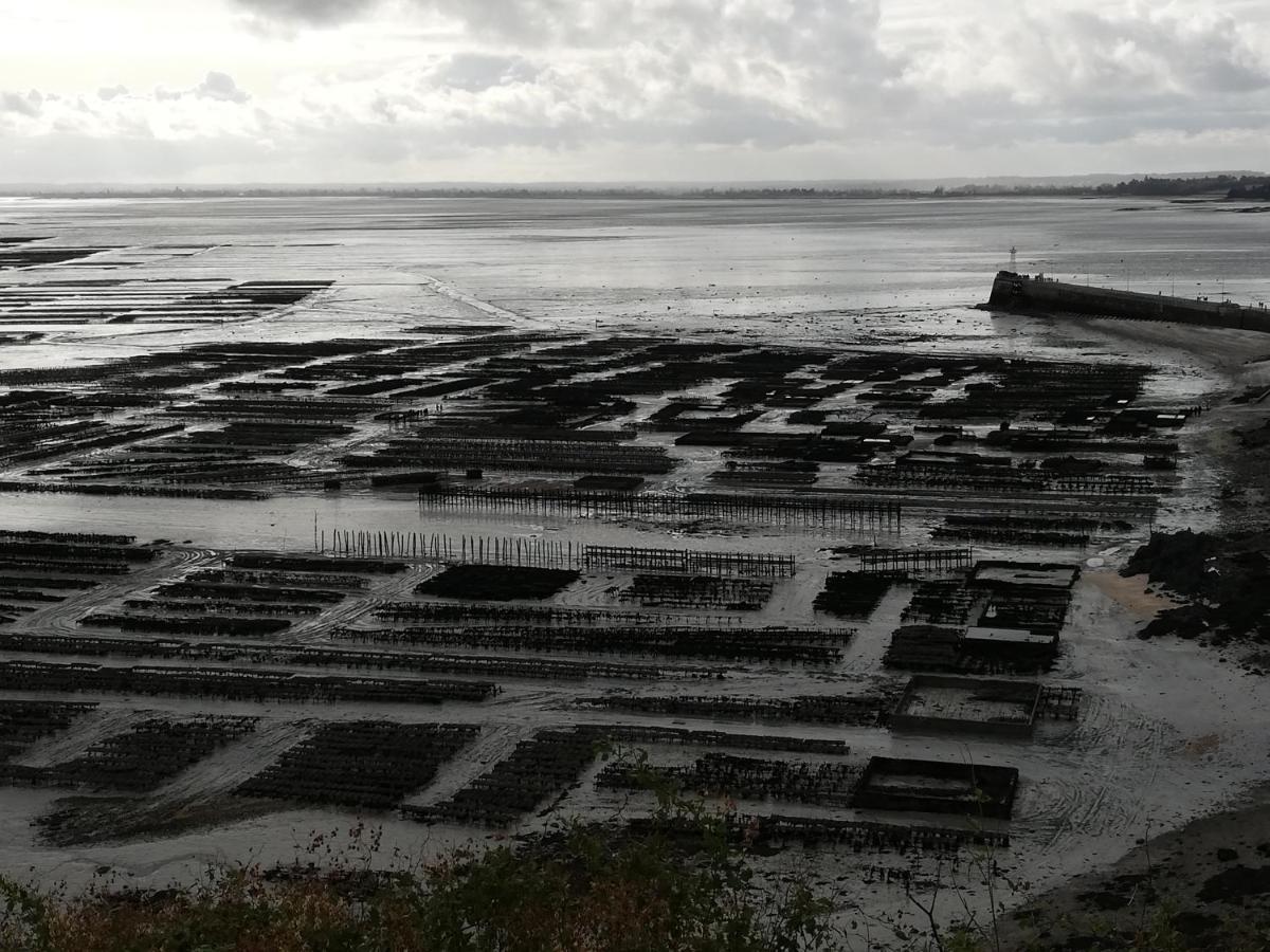 Chambres D'Hotes Les Fleurettes En Baie Du Mont Saint Michel Exterior photo